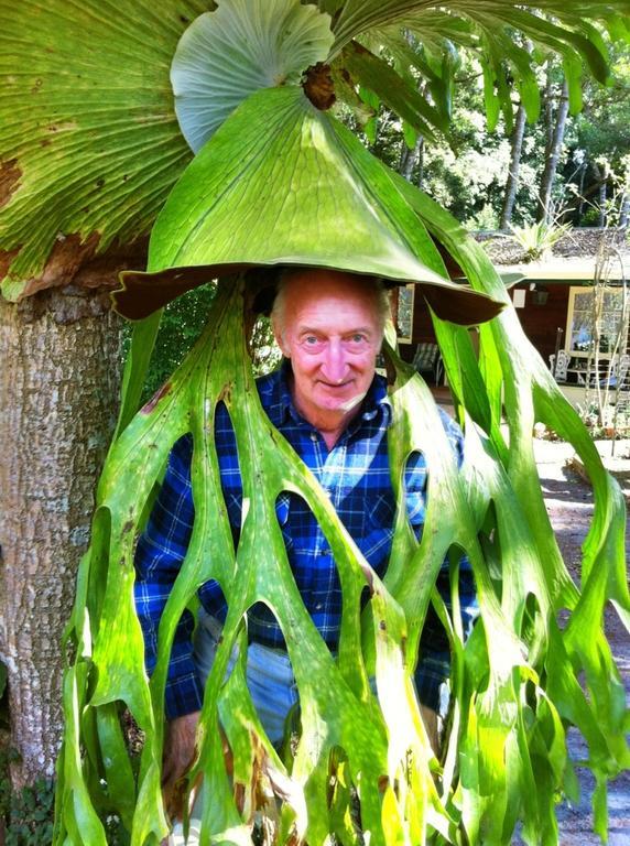 Curtis Cottage جبل تامبورين المظهر الخارجي الصورة
